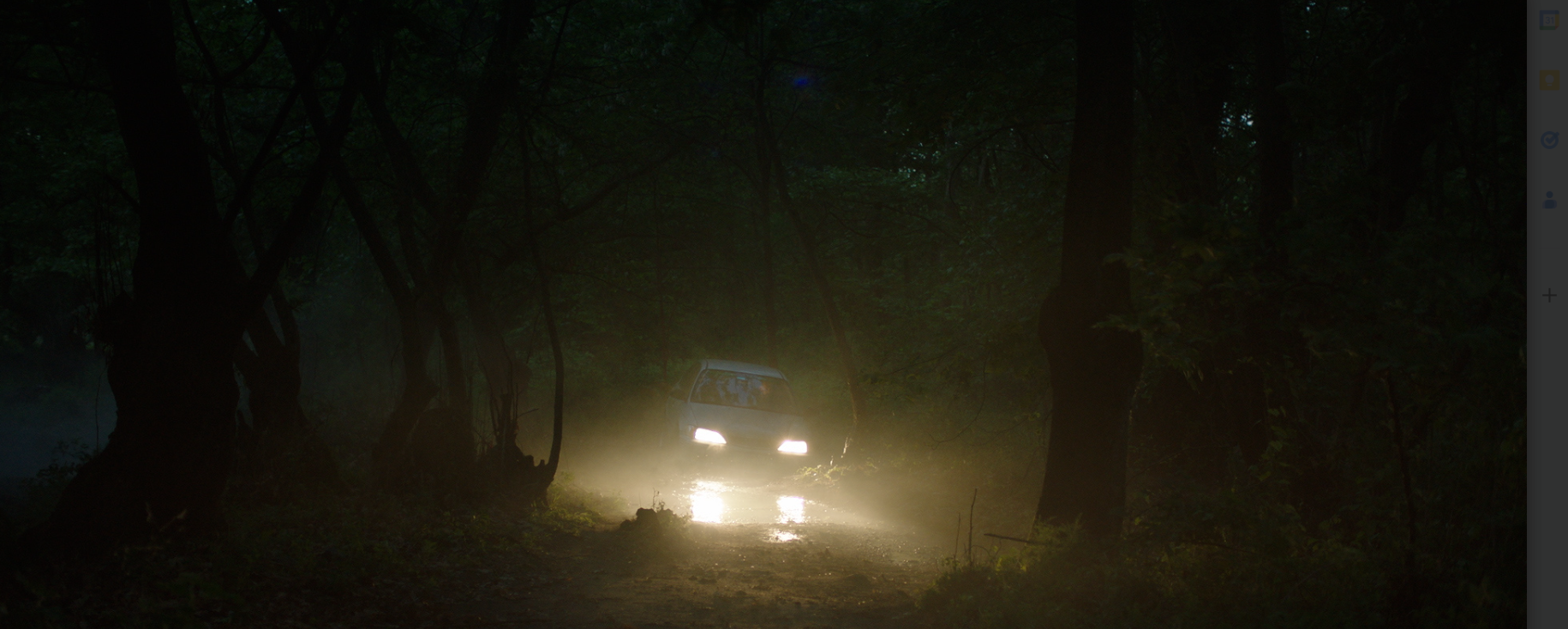 The Sweetness of Bitter Things